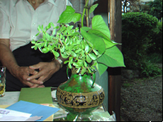 banner